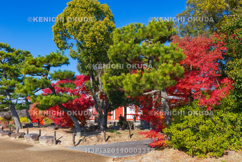 奈良県　紅葉の薬師寺