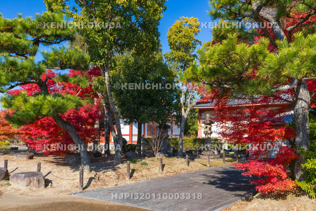 奈良県　紅葉の薬師寺