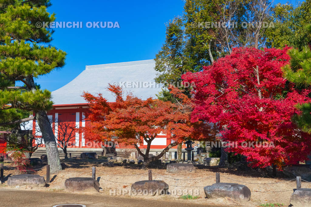 奈良県　紅葉の薬師寺　聚寶館