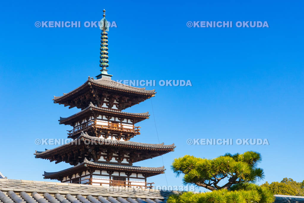 奈良県　薬師寺　東塔（国宝）