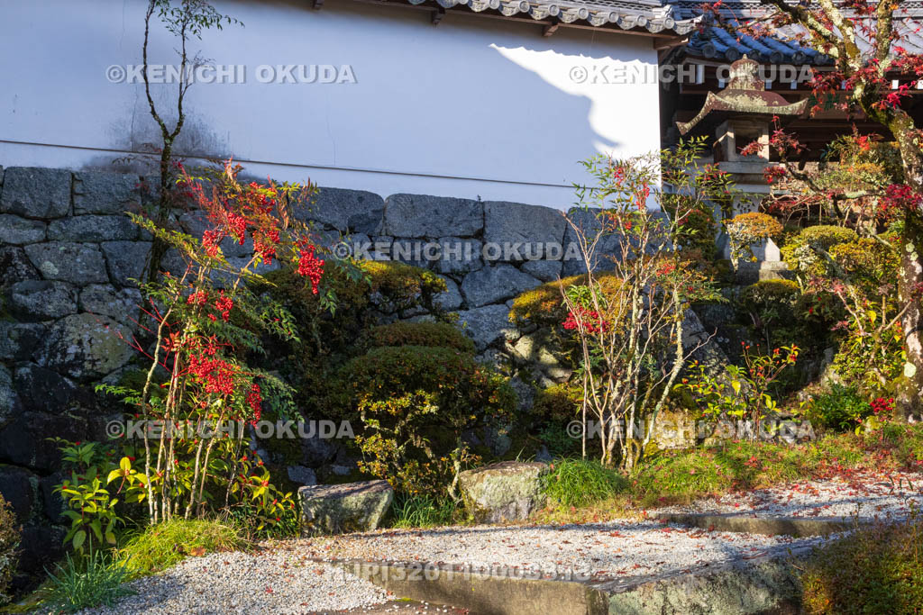 奈良県　秋の聖林寺　山門前
