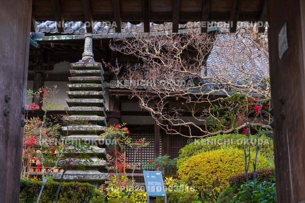 奈良県　秋の聖林寺　山門から望む本堂