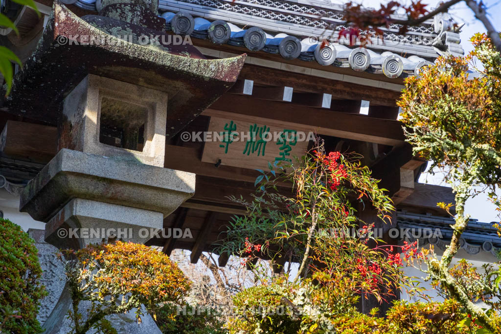 奈良県　秋の聖林寺　山門前