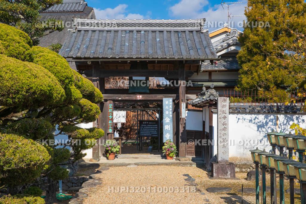 奈良県　金剛寺　山門