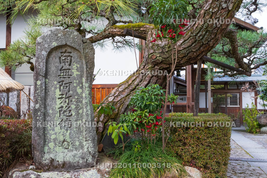 奈良県　石光寺　南無阿弥陀仏碑と万両