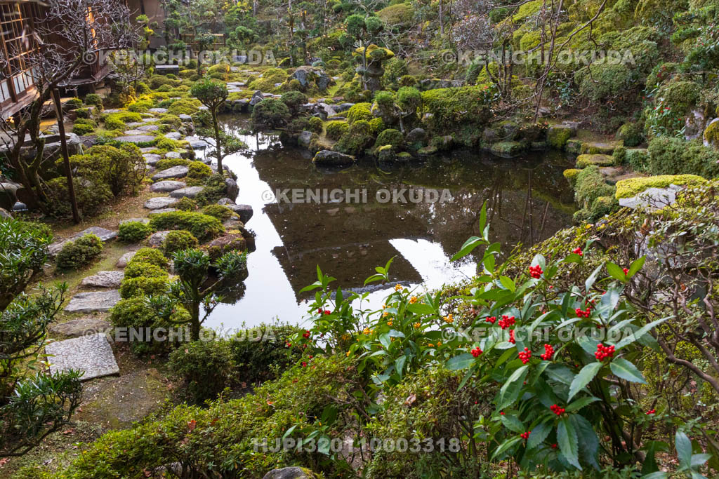 奈良県　當麻寺　西南院　千両色づく庭園