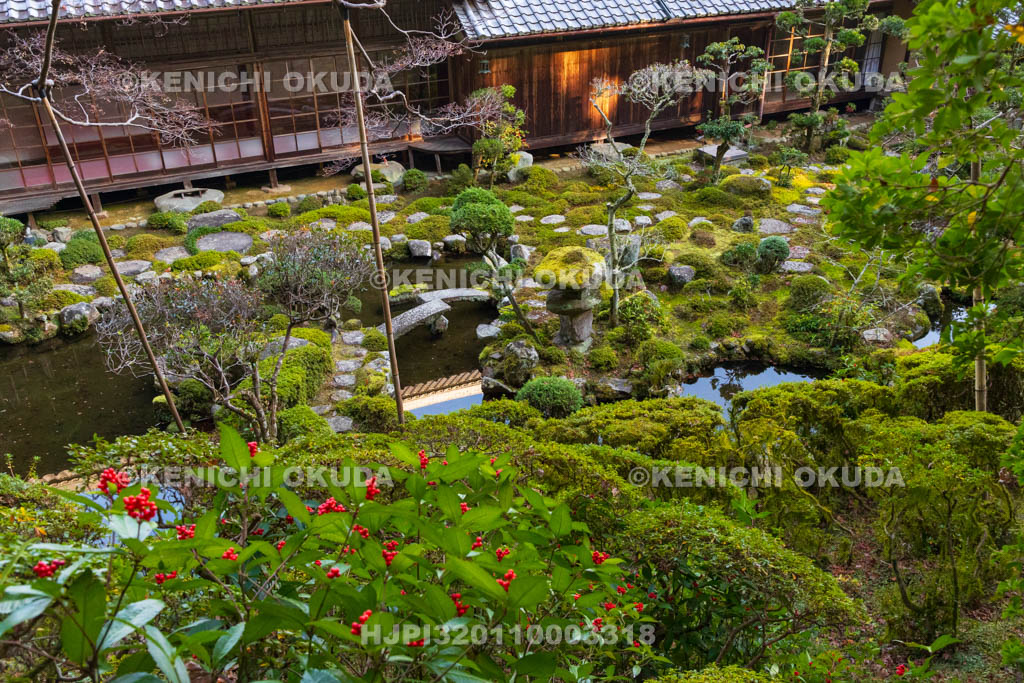 奈良県　當麻寺　西南院　千両色づく庭園