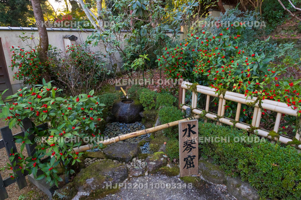 奈良県　當麻寺　西南院　千両と水琴窟
