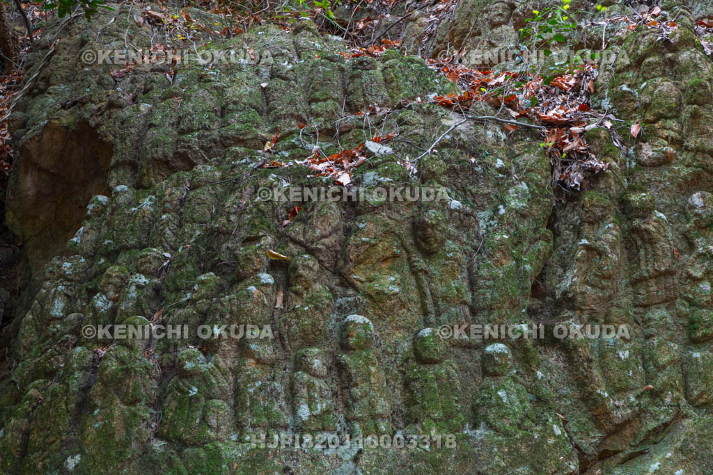 奈良県　壷阪寺（南法華寺）　奥の院　五百羅漢岩