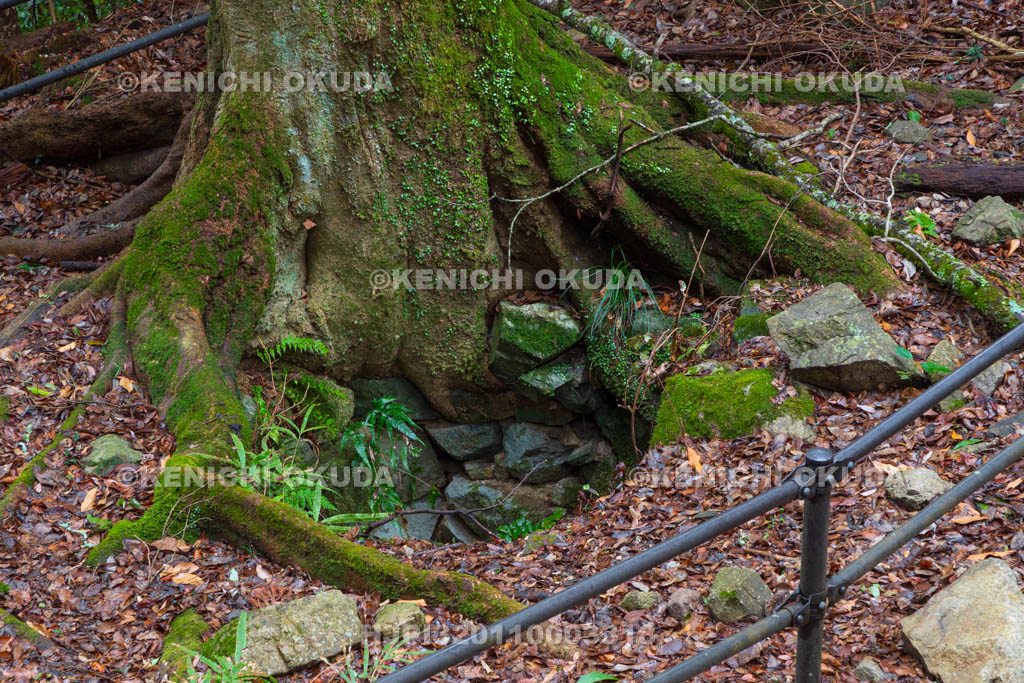 奈良県　高取城　七つ井戸