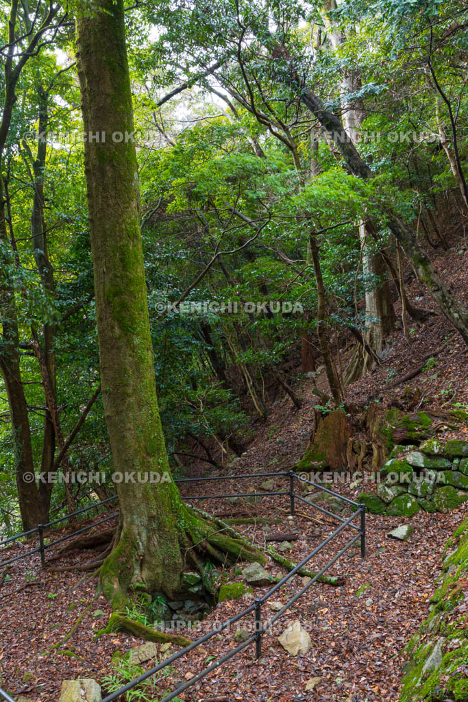 奈良県　高取城　七つ井戸付近