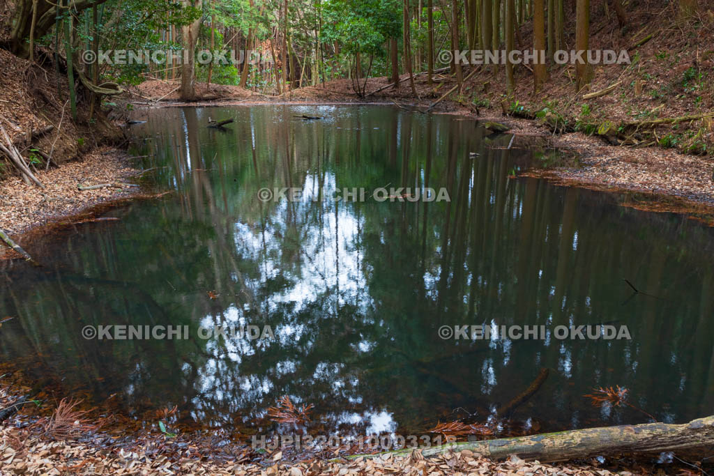 奈良県　高取城　水堀
