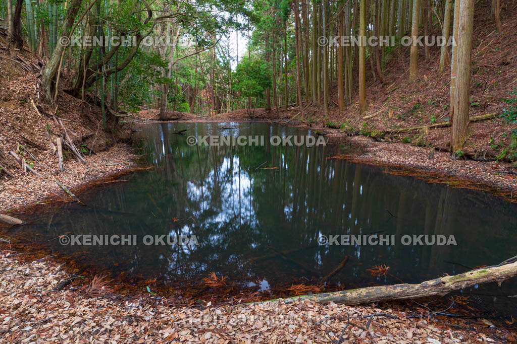 奈良県　高取城　水堀
