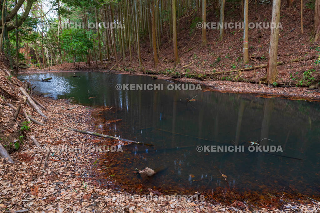 奈良県　高取城　水堀