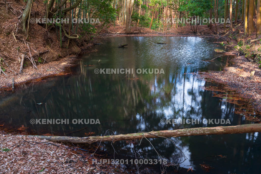 奈良県　高取城　水堀