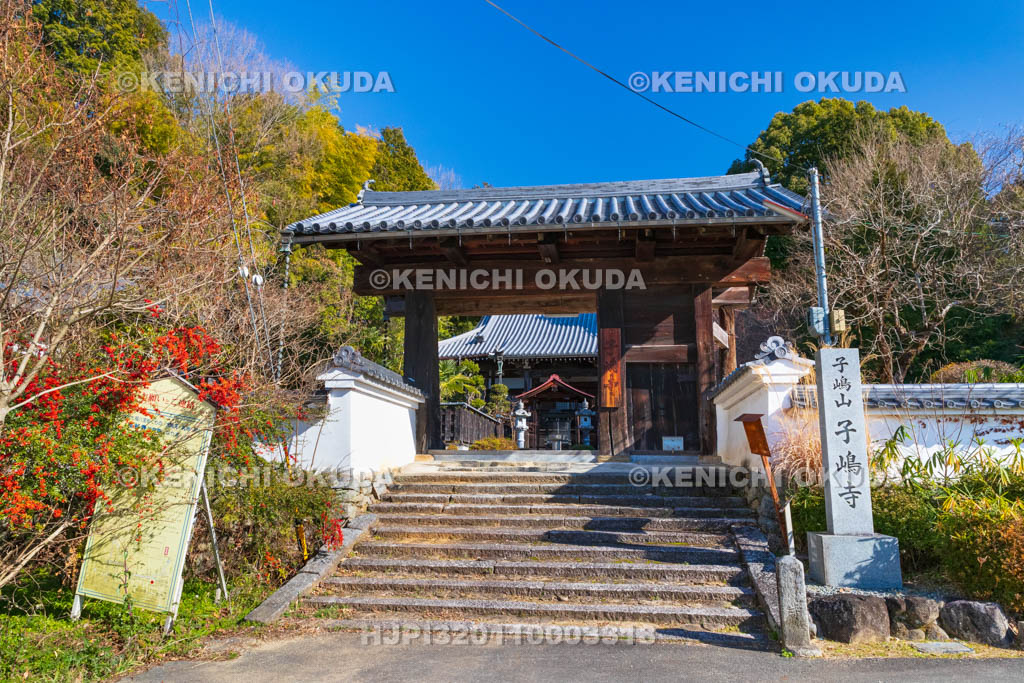 奈良県　子嶋寺　山門
