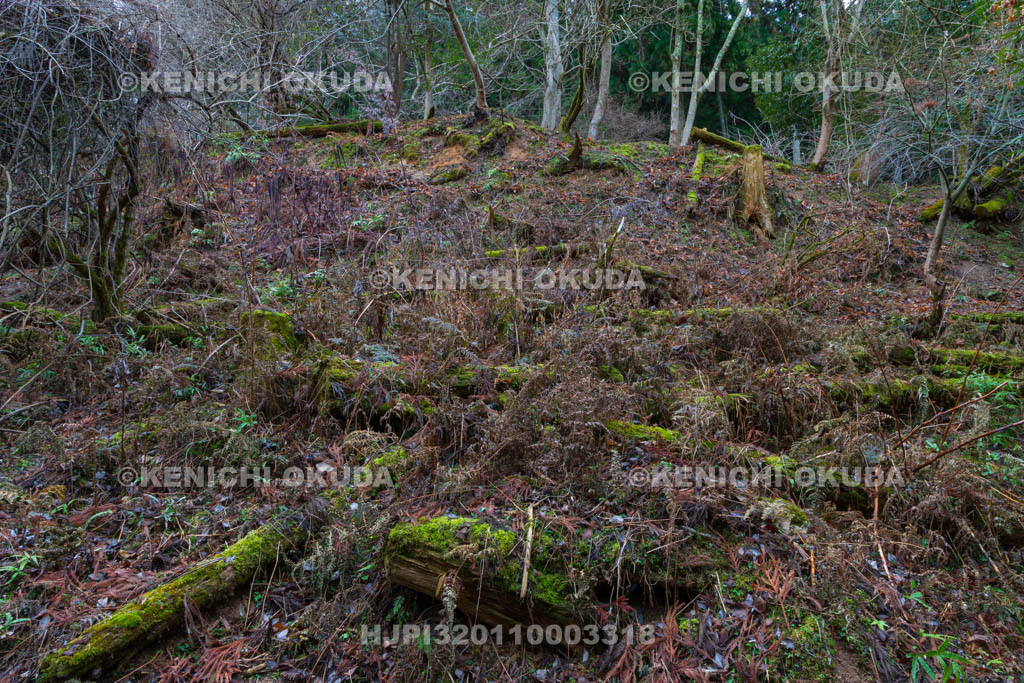奈良県　高取城　壺阪口郭跡