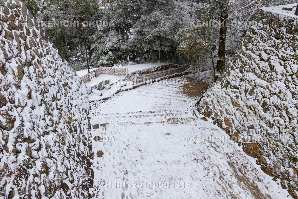 滋賀県　雪の彦根城　表門山道