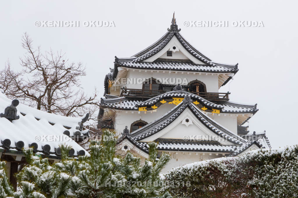 滋賀県　雪の彦根城　天守閣（国宝）