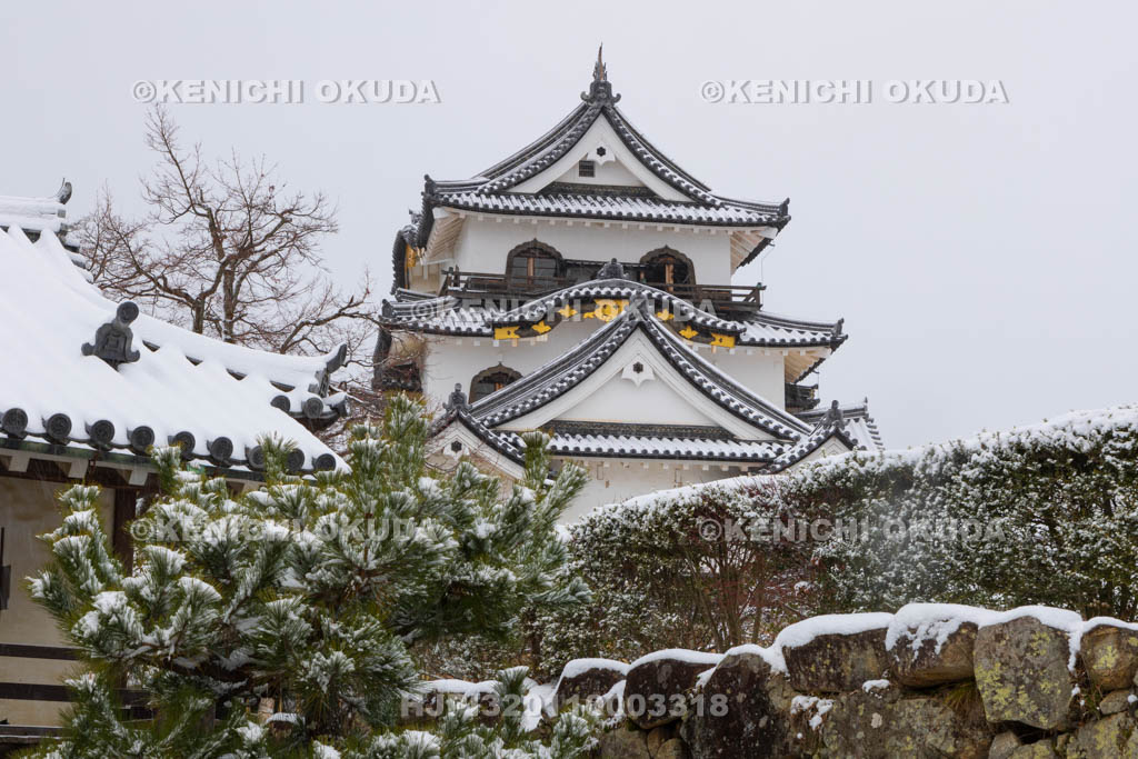 滋賀県　雪の彦根城　天守閣（国宝）