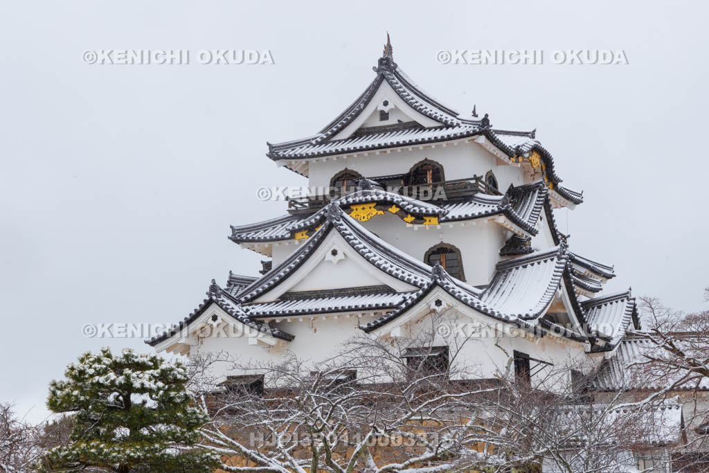 滋賀県　雪の彦根城　天守閣（国宝）