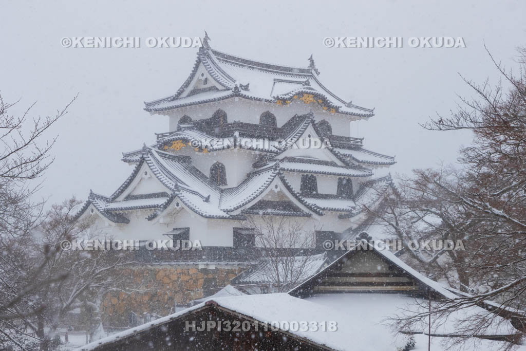 滋賀県　雪の彦根城　天守閣（国宝）