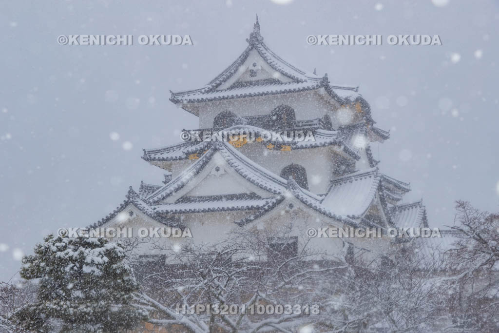 滋賀県　雪の彦根城　天守閣（国宝）