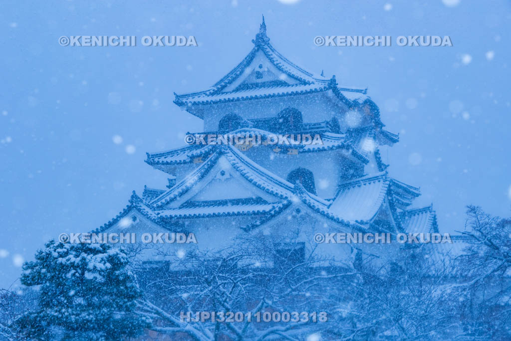 滋賀県　雪の彦根城　天守閣（国宝）