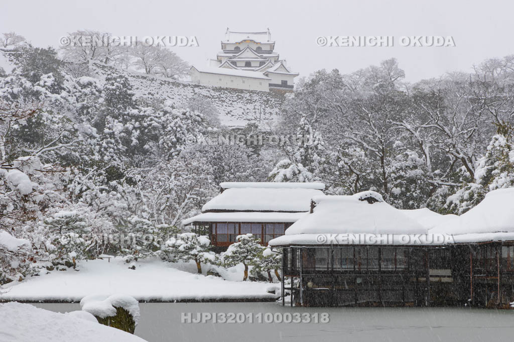 滋賀県　雪の彦根城　玄宮園から望む天守（国宝）