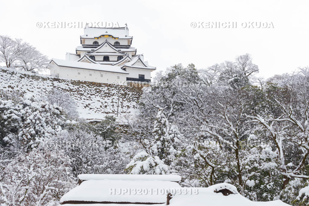 滋賀県　雪の彦根城　玄宮園から望む天守（国宝）