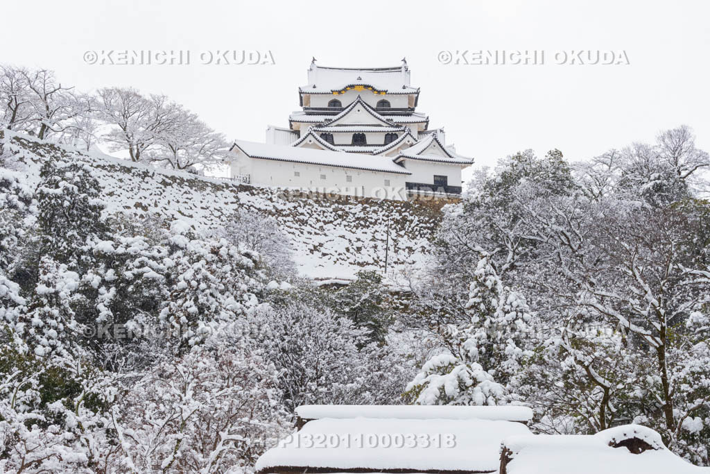 滋賀県　雪の彦根城　玄宮園から望む天守（国宝）