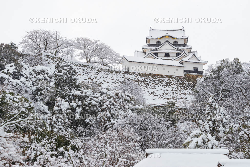 滋賀県　雪の彦根城　玄宮園から望む天守（国宝）