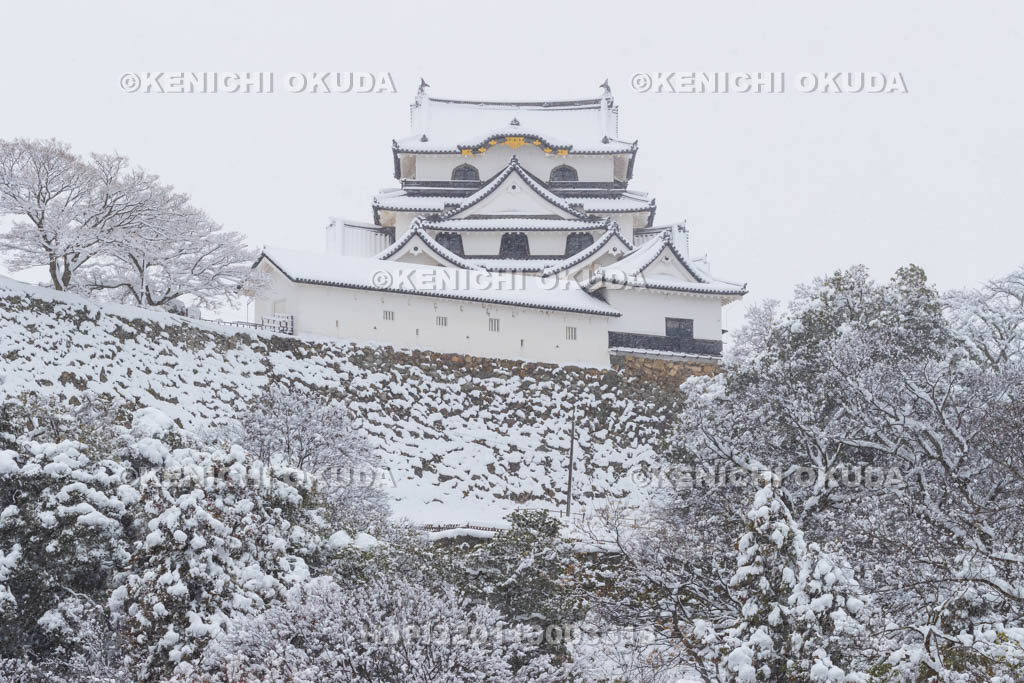 滋賀県　雪の彦根城　玄宮園から望む天守（国宝）
