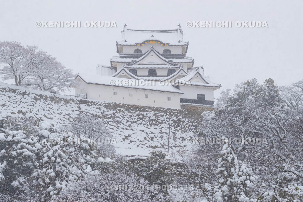 滋賀県　雪の彦根城　玄宮園から望む天守（国宝）