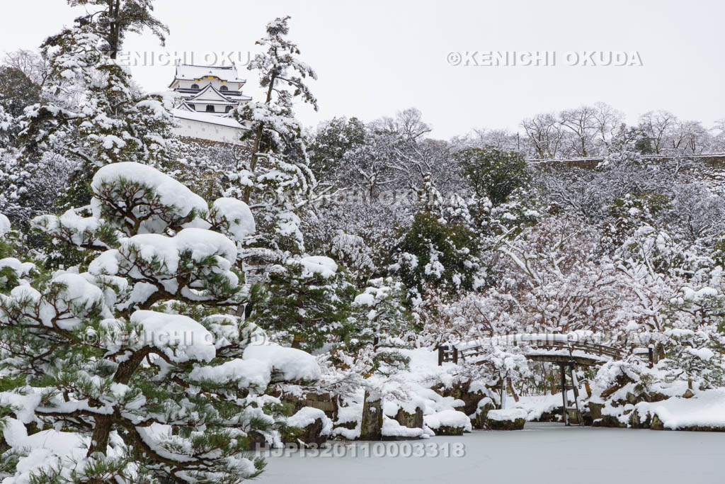 滋賀県　雪の彦根城　玄宮園から望む天守（国宝）