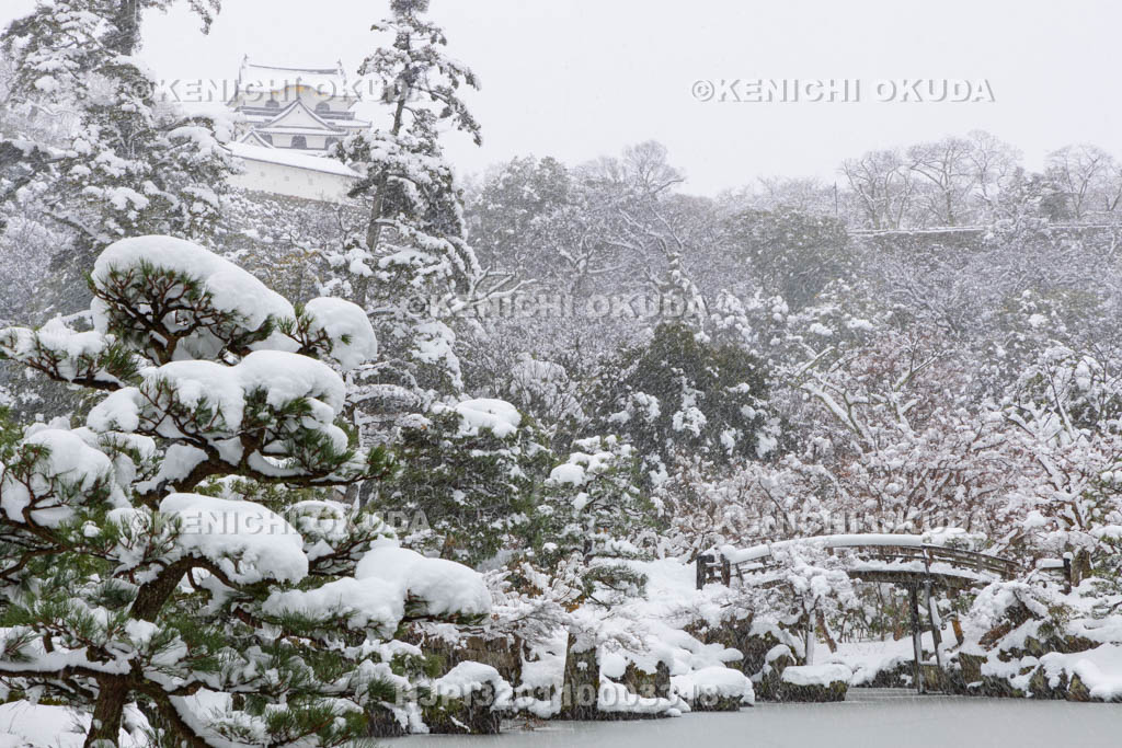 滋賀県　雪の彦根城　玄宮園から望む天守（国宝）