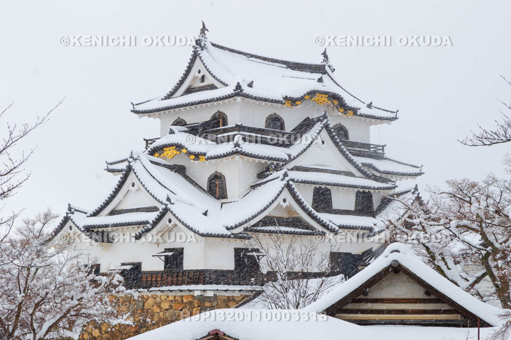 滋賀県　雪の彦根城　天守（国宝）