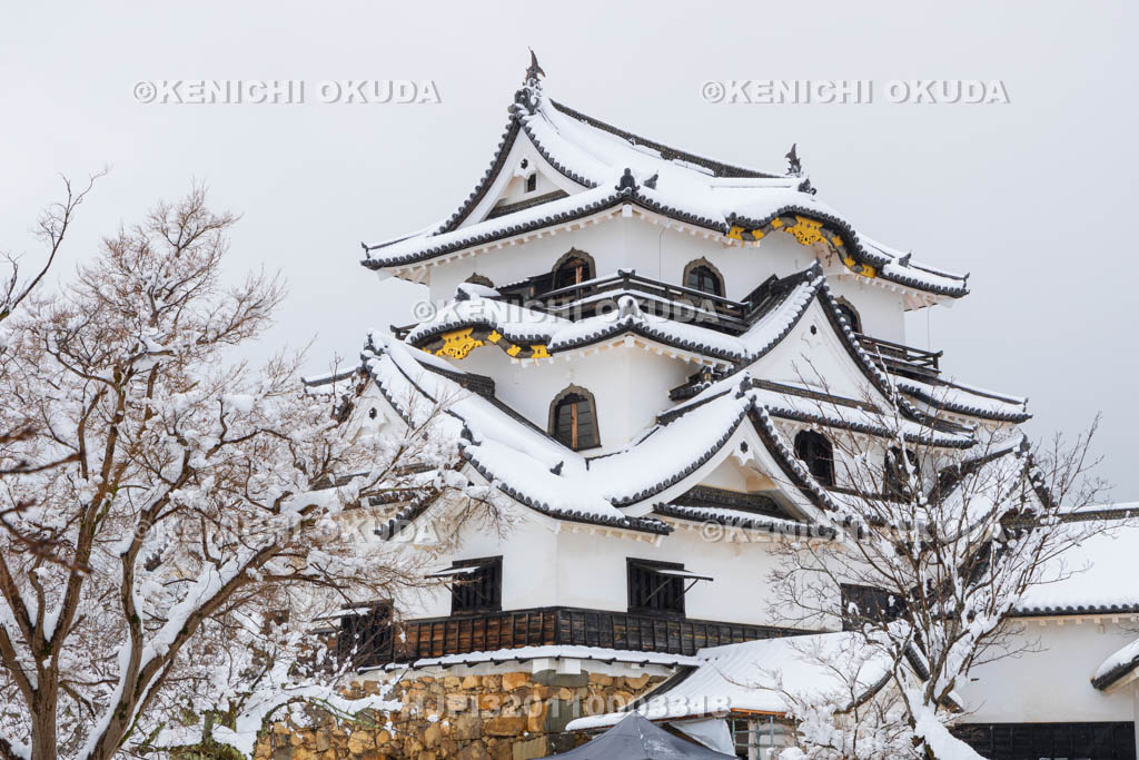 滋賀県　雪の彦根城　天守（国宝）