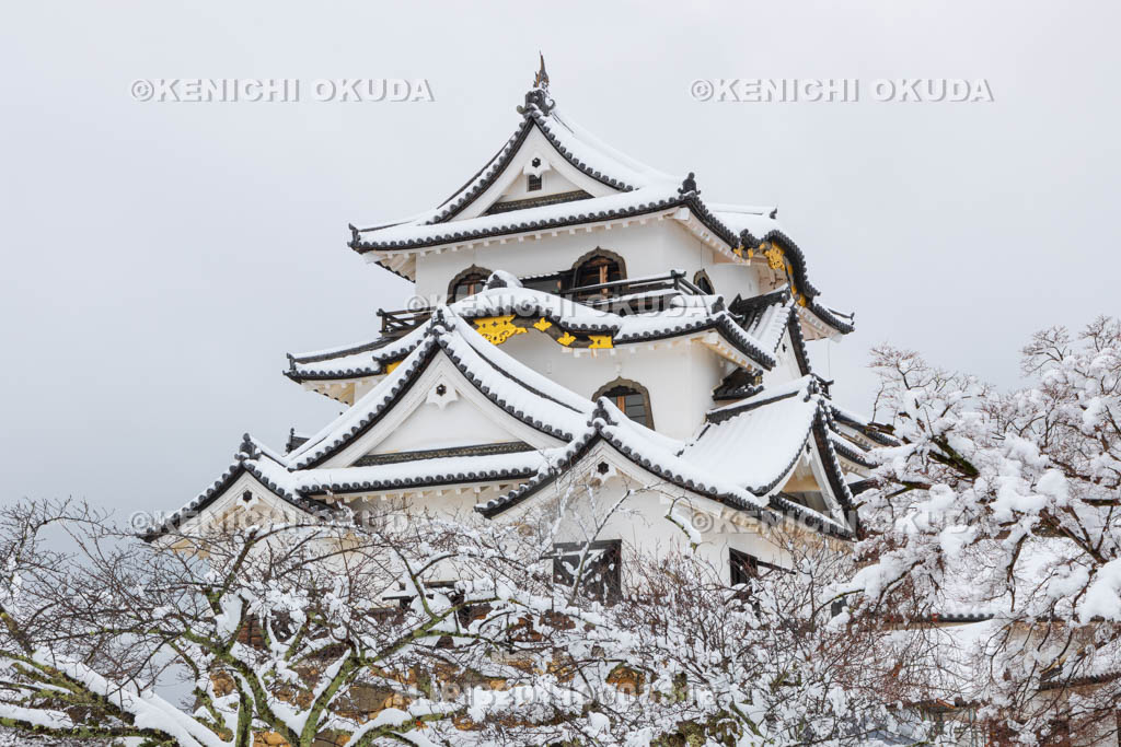 滋賀県　雪の彦根城　天守（国宝）