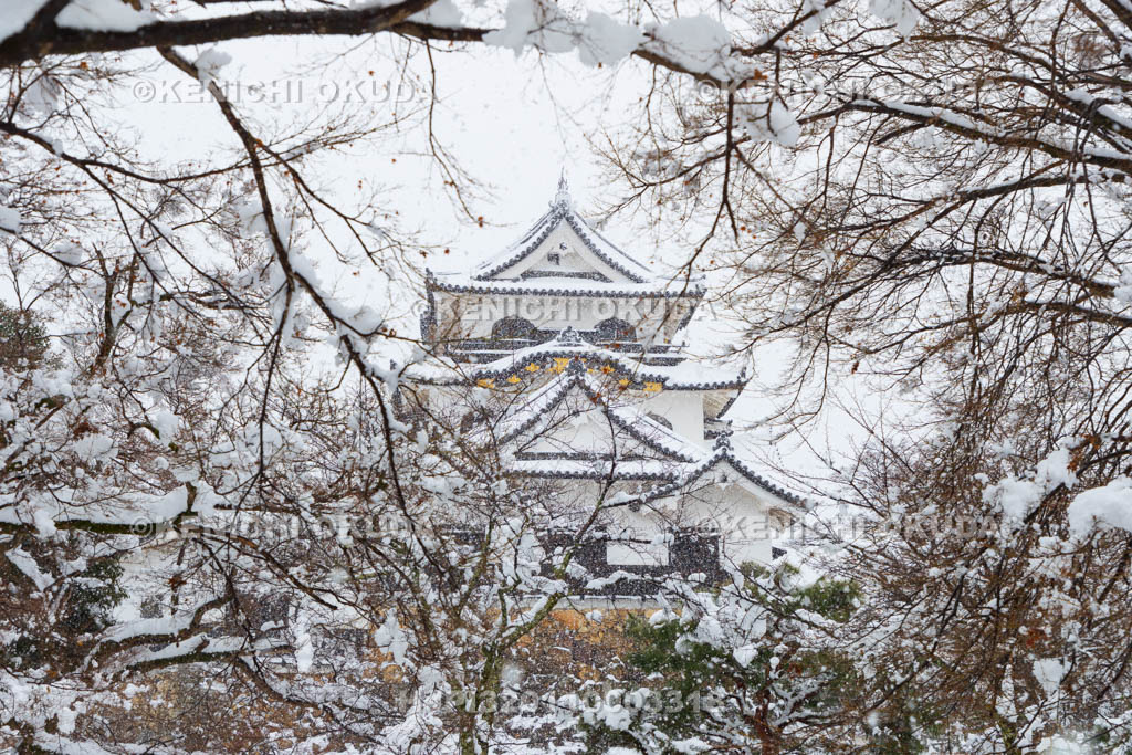 滋賀県　雪の彦根城　天守（国宝）