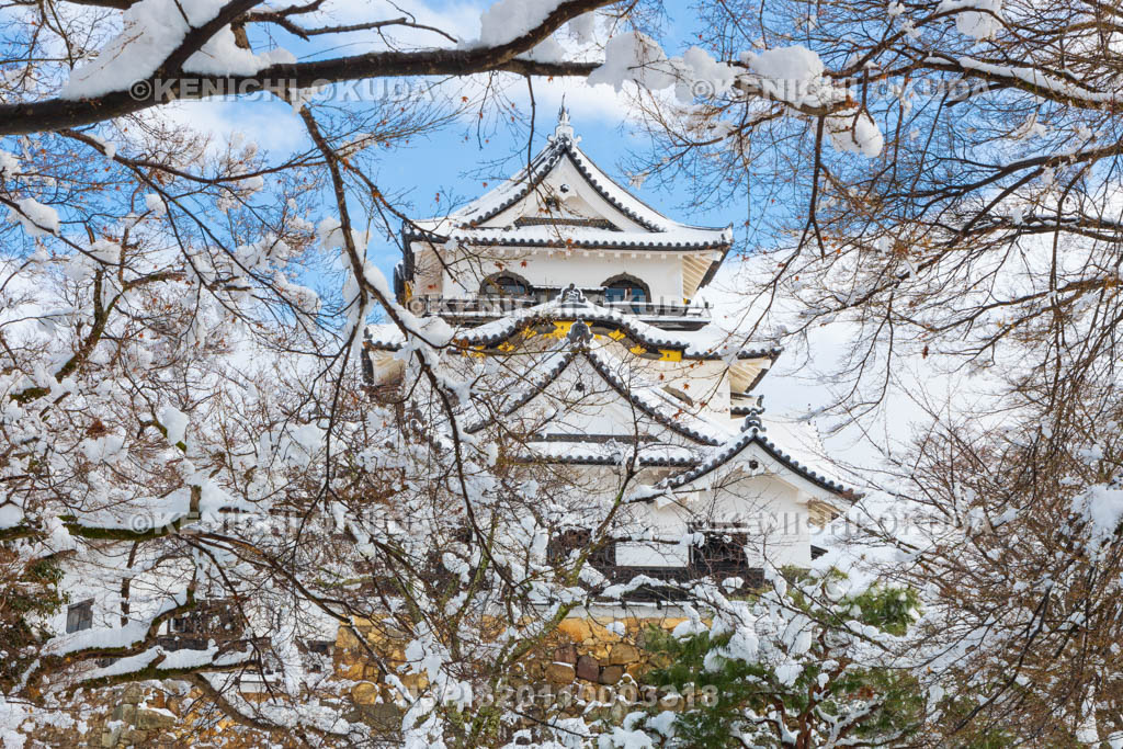 滋賀県　雪の彦根城　天守（国宝）