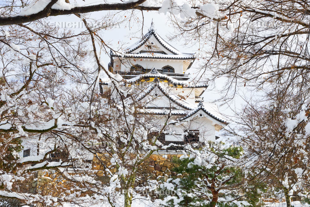滋賀県　雪の彦根城　天守（国宝）