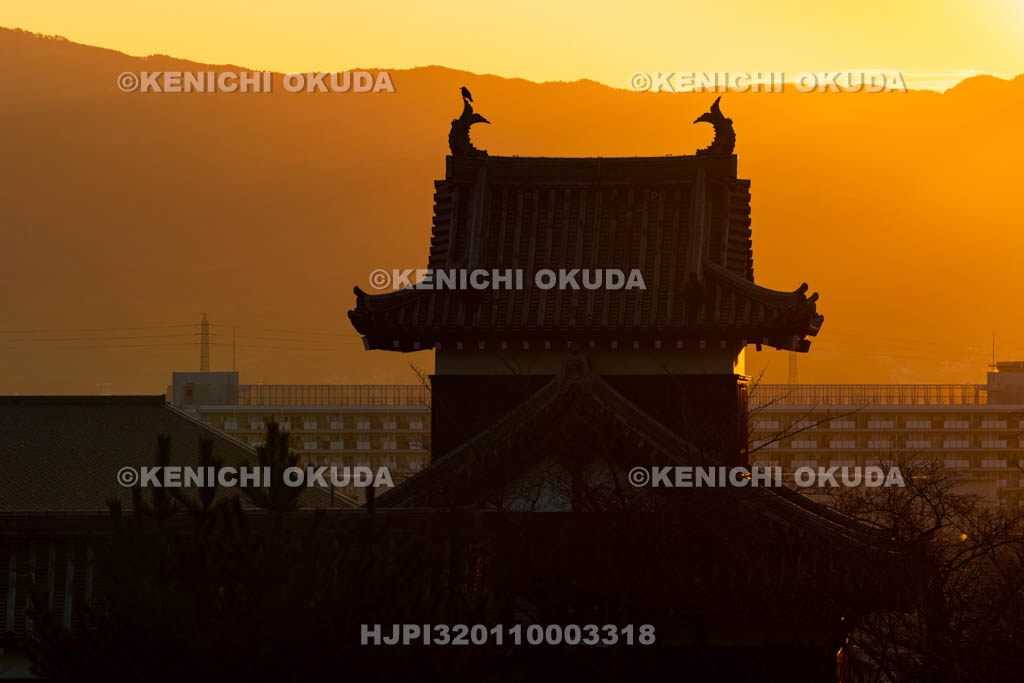 奈良県　大和郡山城　早朝の追手向櫓