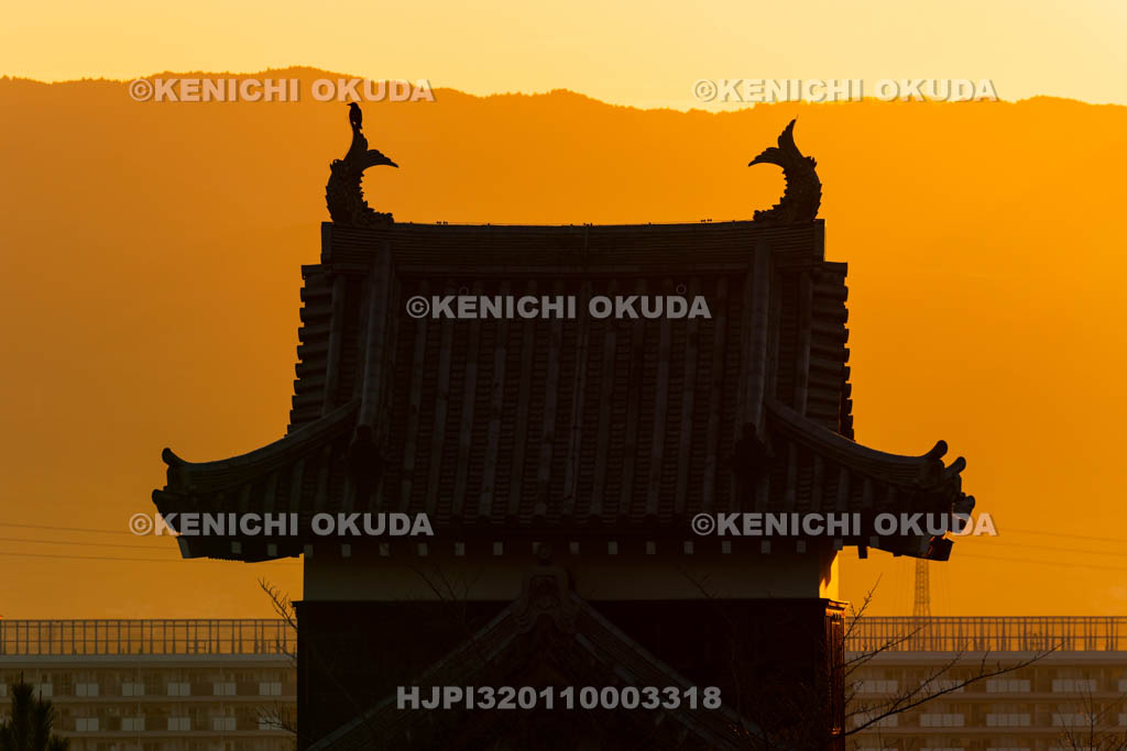 奈良県　大和郡山城　早朝の追手向櫓