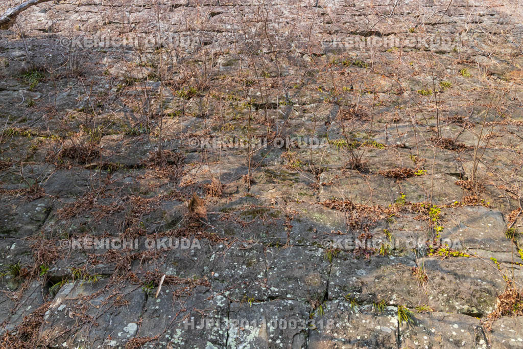 和歌山県　和歌山城　不明門跡の石垣