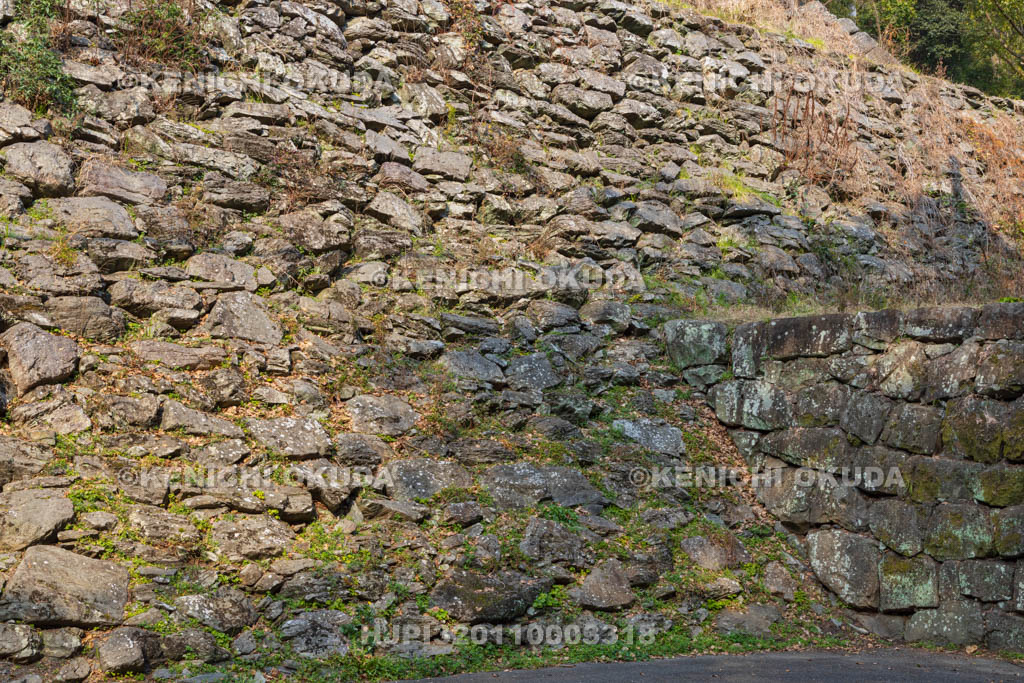 和歌山県　和歌山城　豊臣・桑山期の石垣（山斜面）と徳川期の石垣（右）
