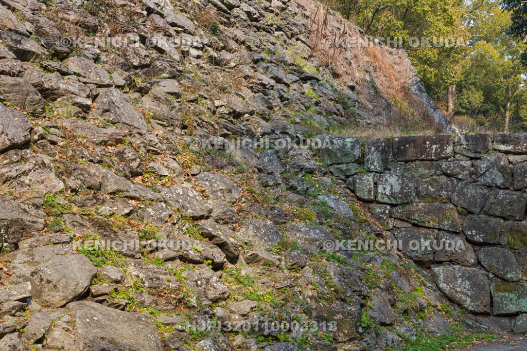 和歌山県　和歌山城　豊臣・桑山期の石垣（山斜面）と徳川期の石垣（右）