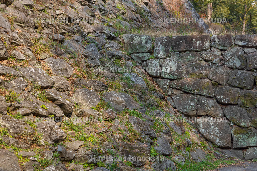 和歌山県　和歌山城　豊臣・桑山期の石垣（山斜面）と徳川期の石垣（右）