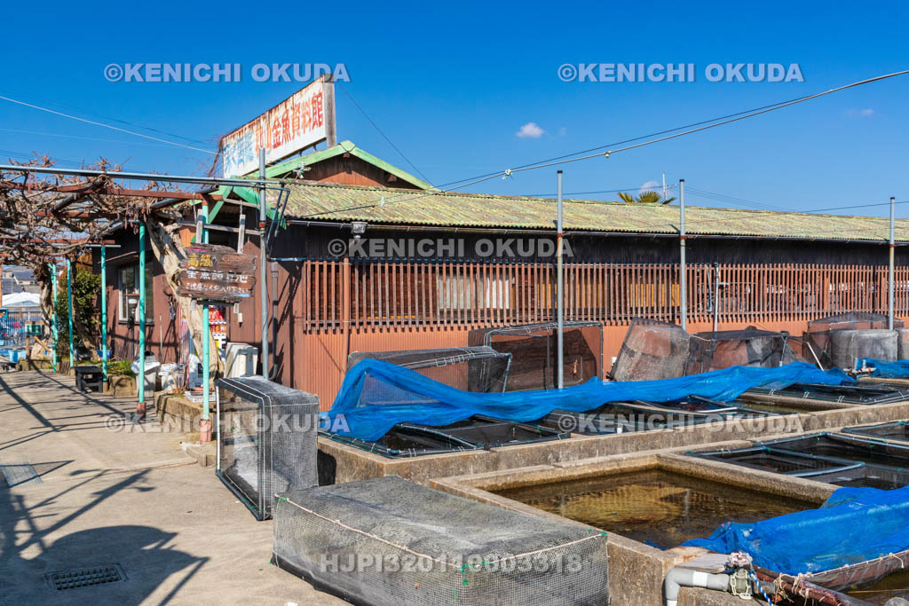 奈良県　郡山金魚資料館