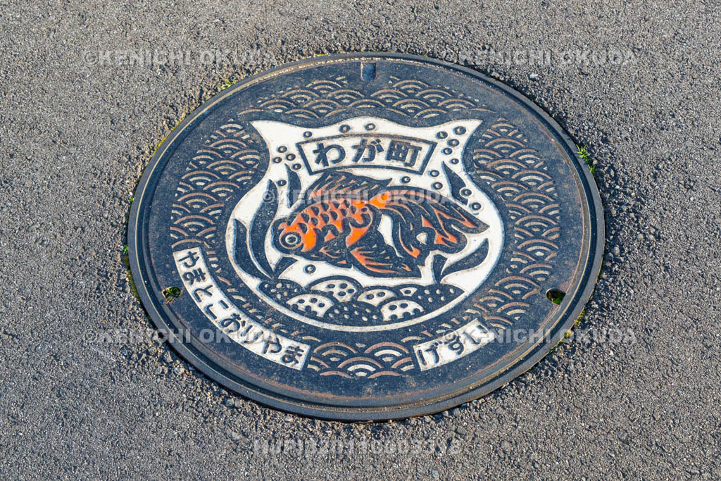 奈良県　大和郡山城下町　金魚のマンホール